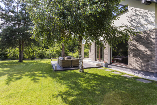 Végétaliser la maison pour la garder au frais durant l'été