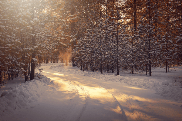 moral-hiver-timothy-eberly