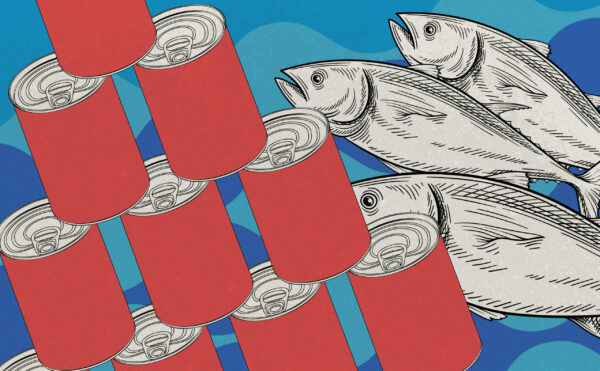 conserve illustration conserve